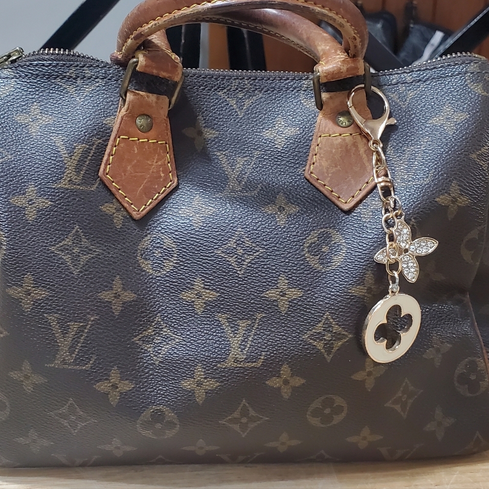 Louis-Vittion Speedy 25